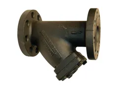 Mueller Steam Specialty M6702405 Perforated wye strainer