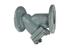 Mueller Steam Specialty M6702428 Flanged perforated wye strainer