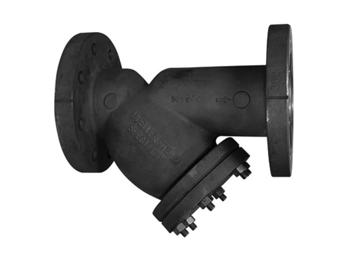 Mueller Steam Specialty M6702432 Flange perforated wye strainer