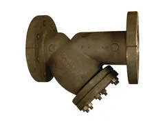 Mueller Steam Specialty M6703037 Flanged perforated wye strainer