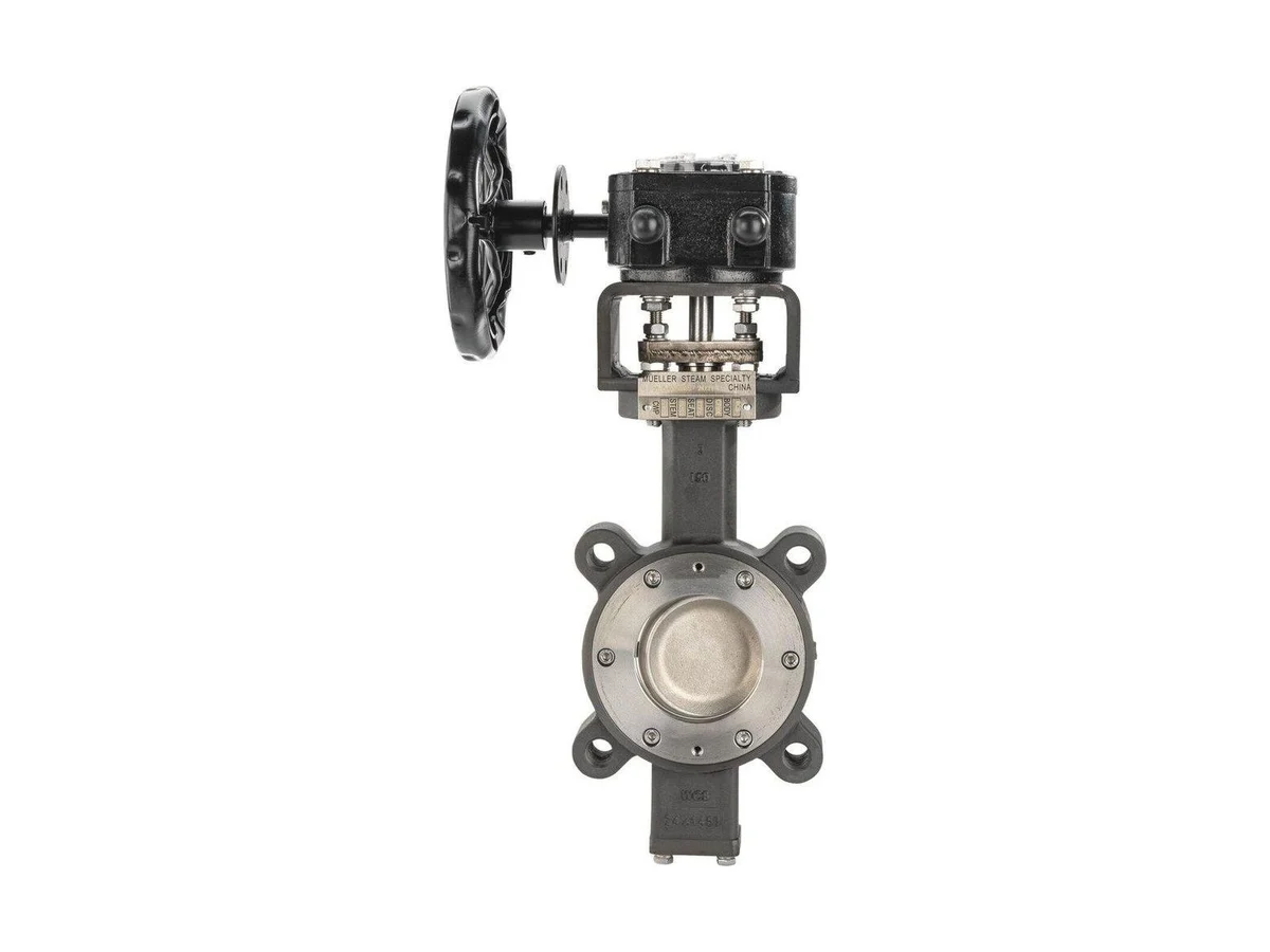 Mueller Steam Specialty M6762467 Perform dbl ecc bfv