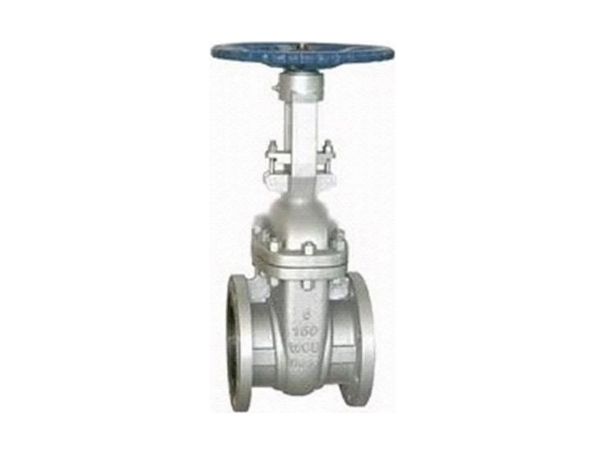 Neway Valve 2G1RA8-000 Steel flanged gate valve