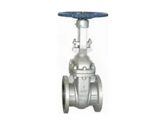 Neway Valve 2G1RA8-000 Steel flanged gate valve