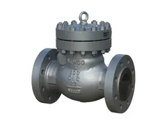 Newco Valves 31F-CB2 4 Bolted cover