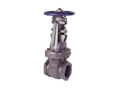 NIBCO NLE300H Iron npt check valve