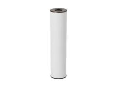 Pentair 155263-43 Iron reducing water filter