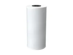 Pentair 355056-43 Specialty water filter cartridge