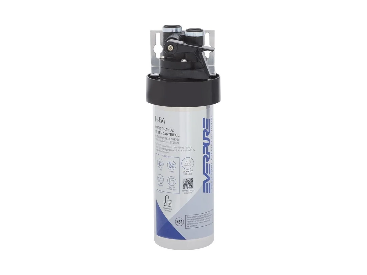 Pentair EV925267 Micron drinking water system
