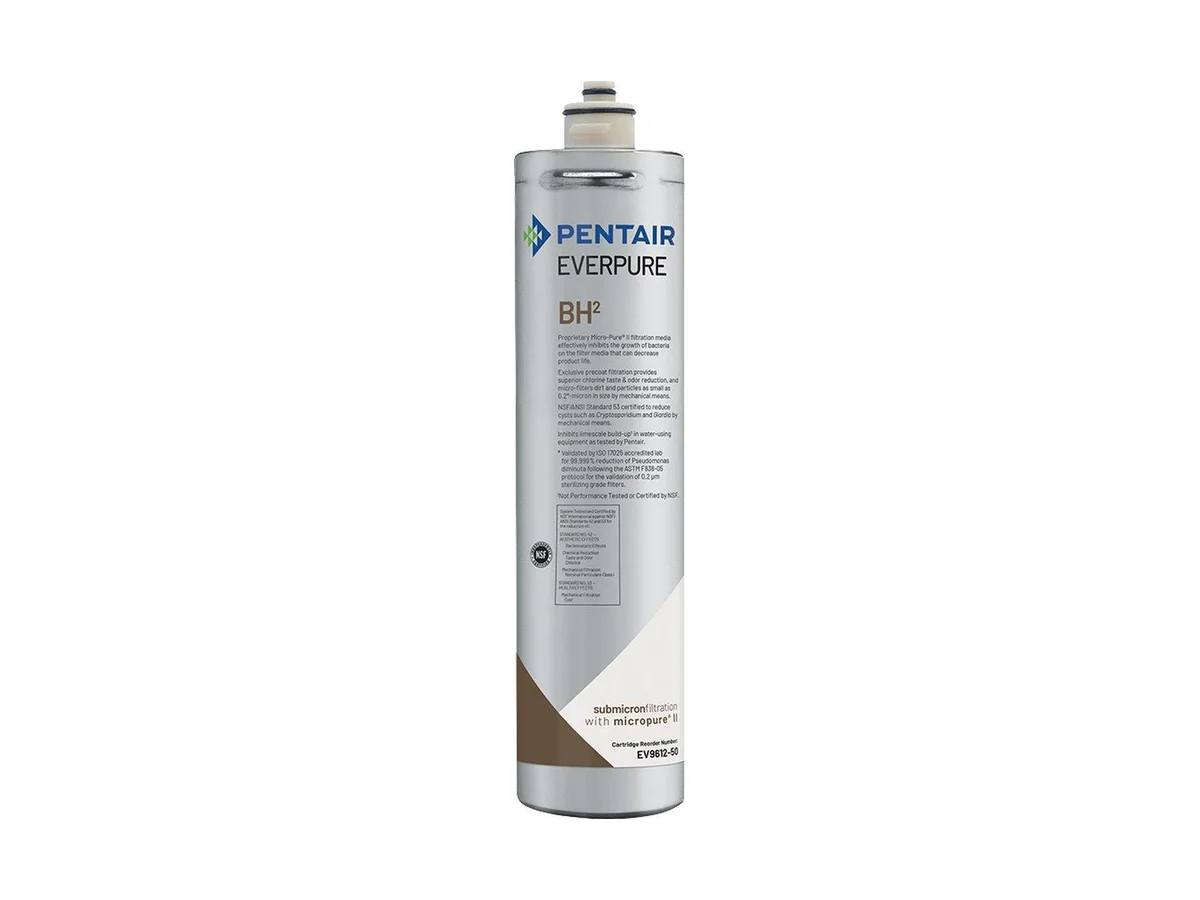 Pentair EV961250 Micron water filter cartridge