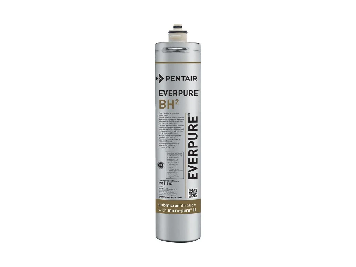 Pentair EV961251 Cartridge for coffee applications