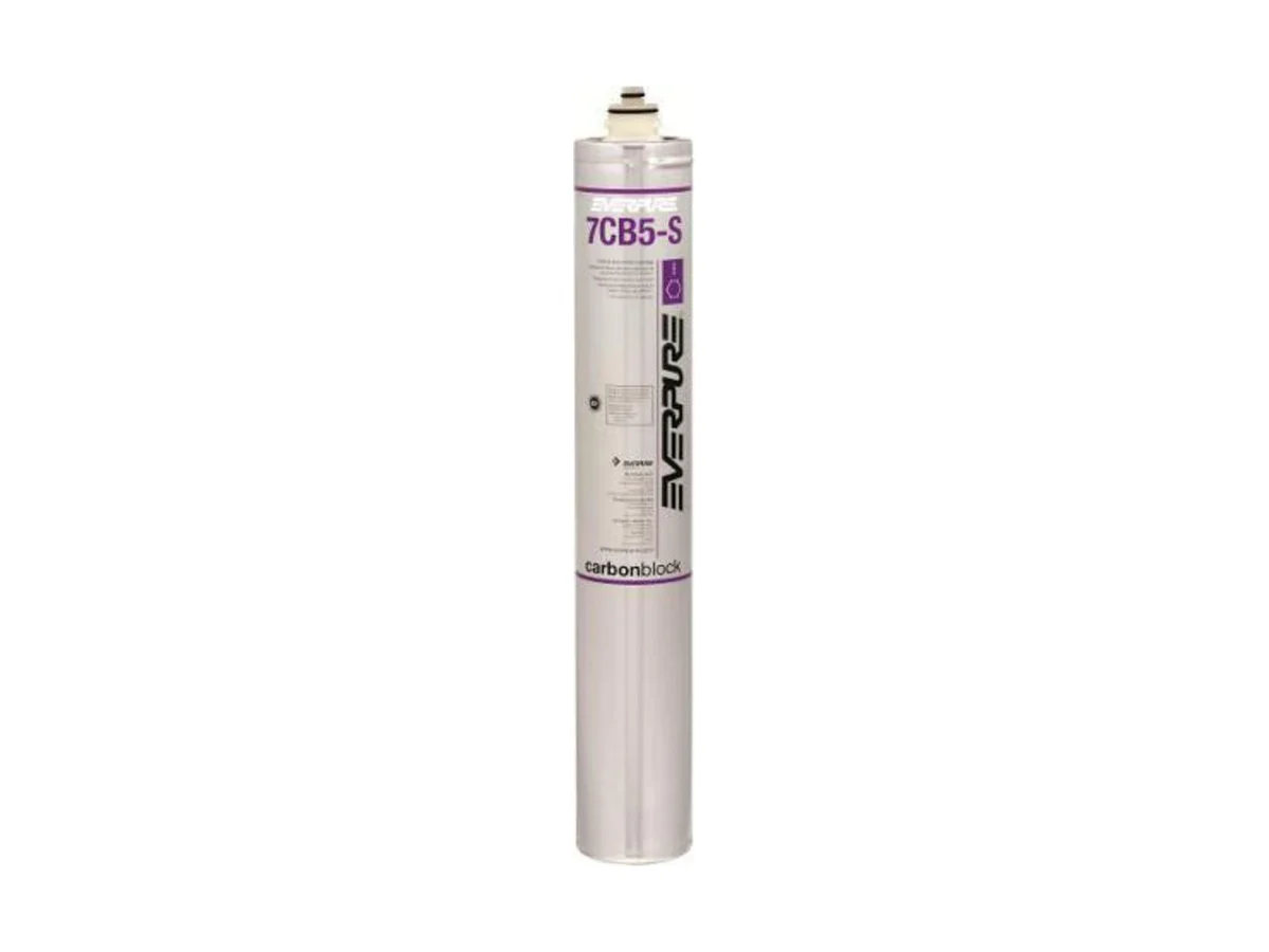 Pentair EV961826 Block water filter cartridge