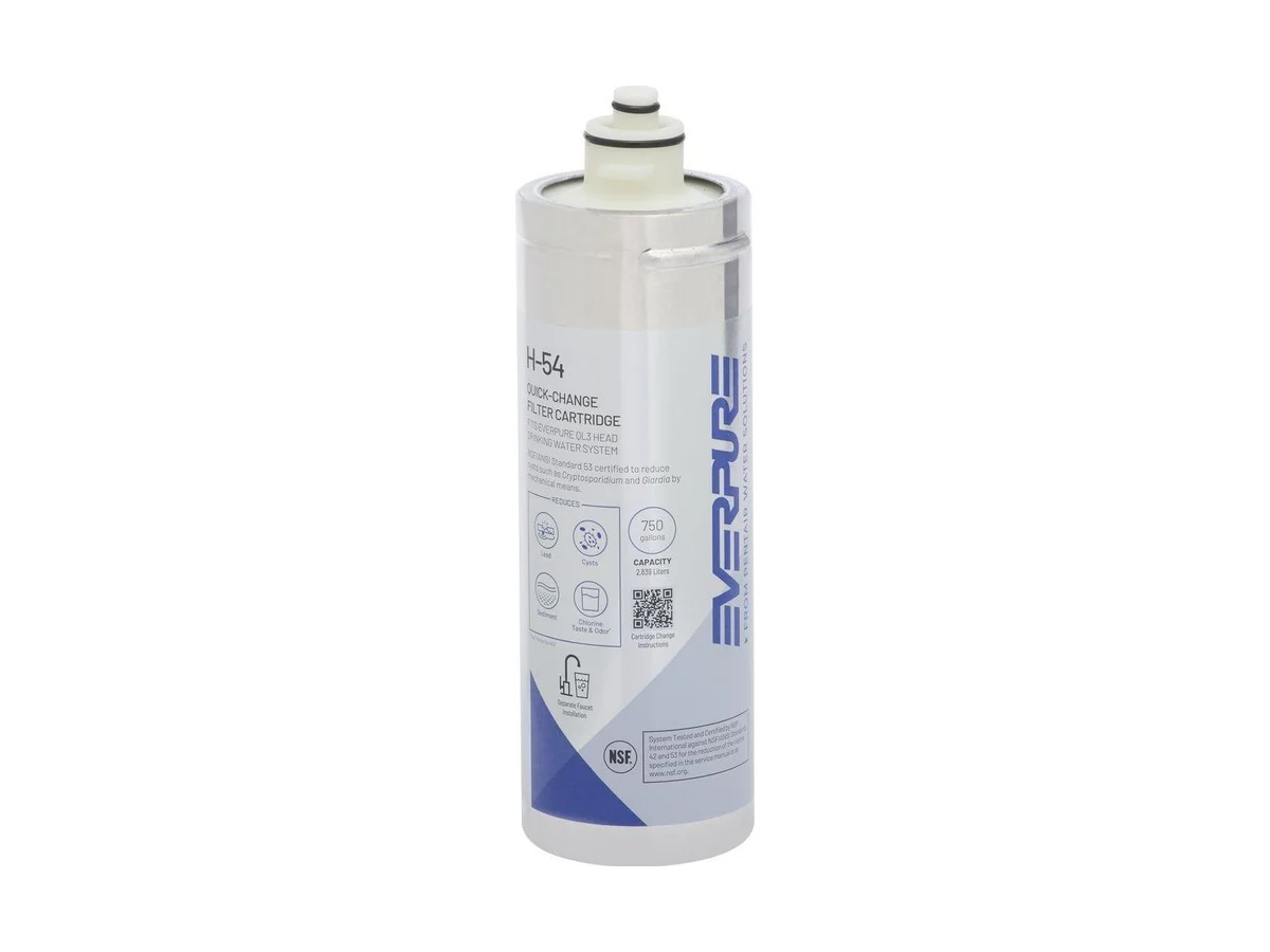 Pentair EV973006 Whole house replacement cartridge