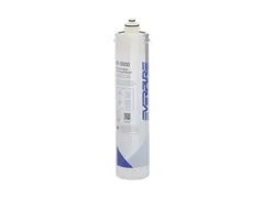 Pentair EV985750 Replacement water filter cartridge