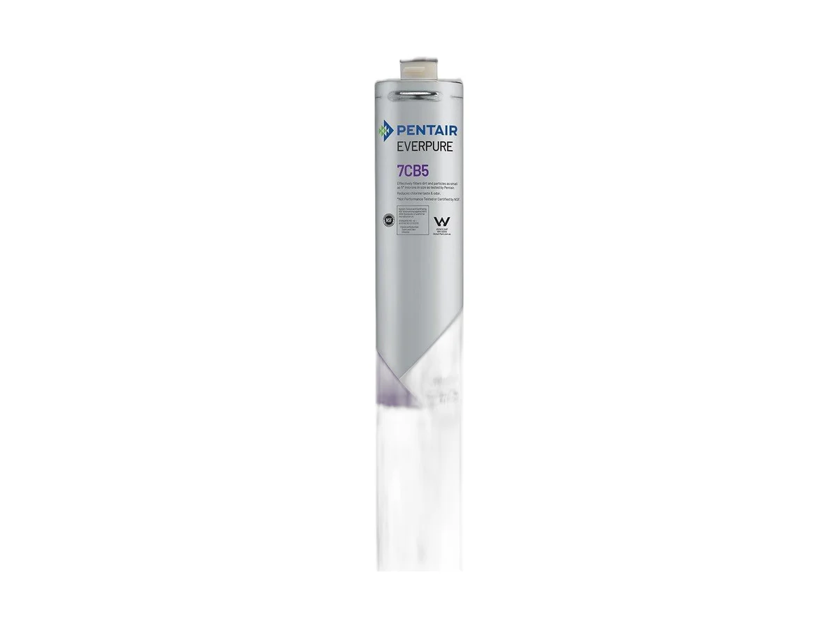 Pentair EV961816 Fountain drink filter cartridge