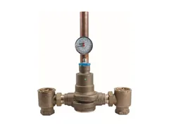 Powers 6506053 Tempering valve