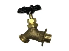 PROFLO PFX74SDC Ips x sweat sillcock