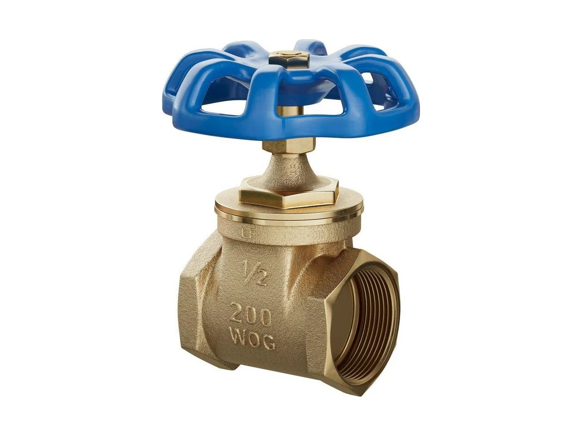 PROFLO PFXT300G Port fnpt gate valve