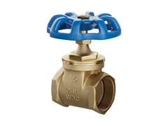 PROFLO PFXT300G Port fnpt gate valve