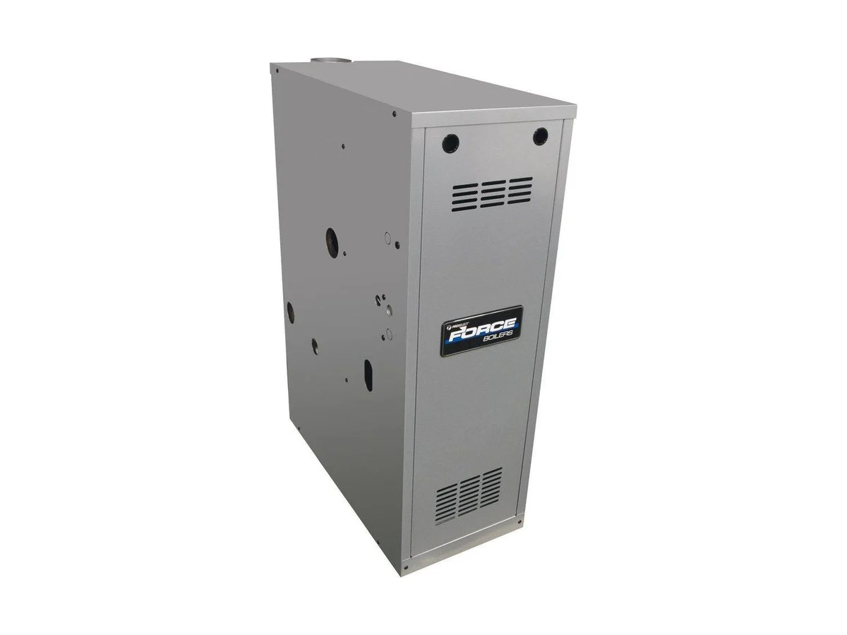 PROSELECT FORCE05EN-RHG1 Afue - chimney vent