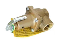 Raypak 007225F Relief valve