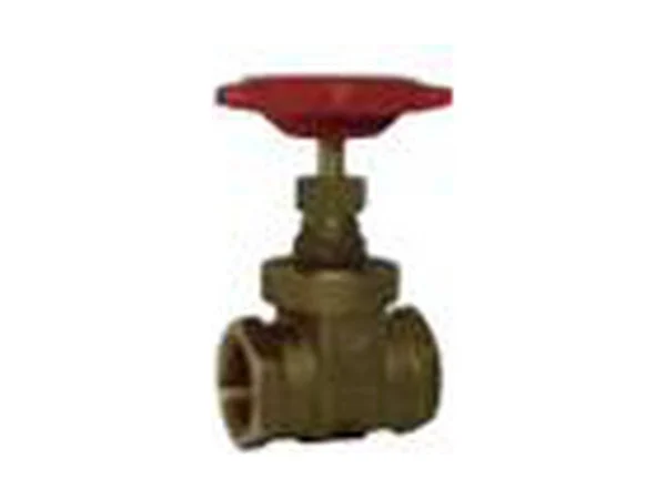 Red-White Valve 206AB 2 Brass npt gate valve