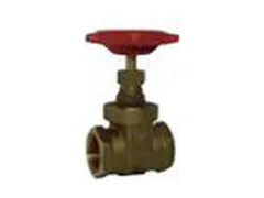 Red-White Valve 206AB 2 Brass npt gate valve