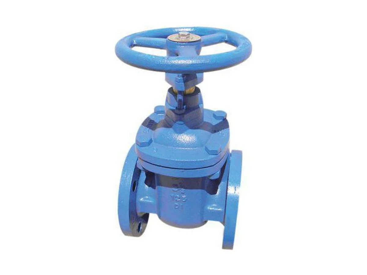 Red-White Valve 415 4 Iron flanged gate valve