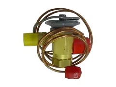 Service First VAL10576 Check valve