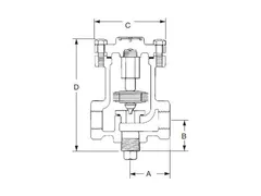 Spirax Sarco 61706 Straightway pattern