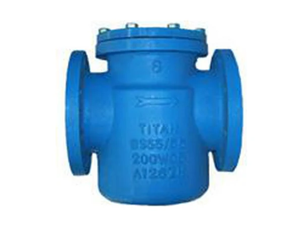 Titan Flow Control BS65I1000 Flanged wye valve stainer