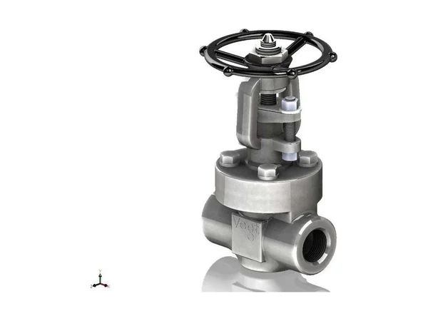Vogt Valves Flowserve AAB55VV001002 Socket weld gate valve