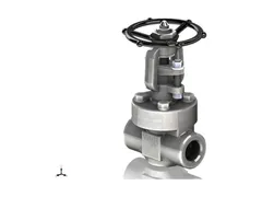 Vogt Valves Flowserve AAB55VV001002 Socket weld gate valve