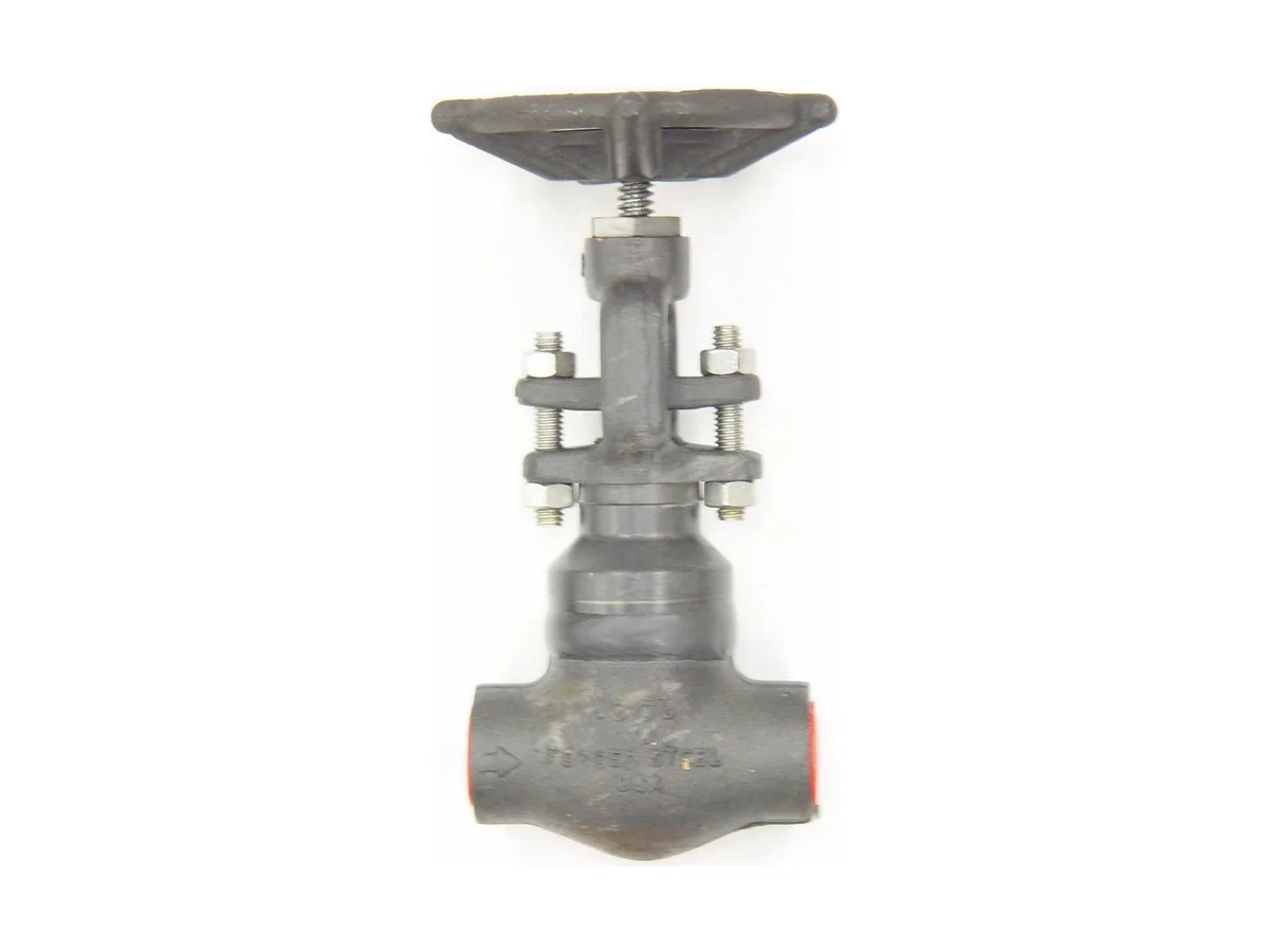 Vogt Valves CAD84VV001002 Valve stem globe valve