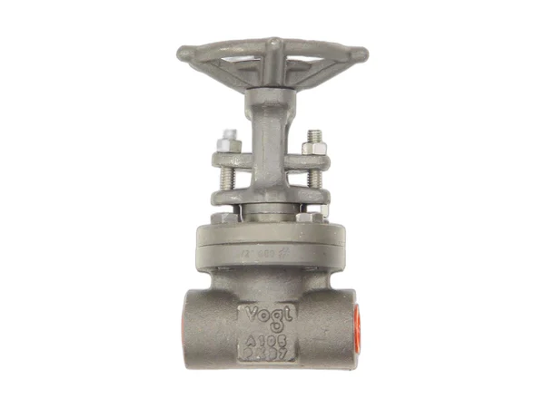 Vogt Valves AAA85VV001002 Bolted bonnet forged steel