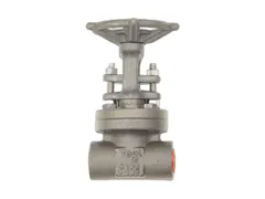 Vogt Valves AAA85VV001002 Bolted bonnet forged steel