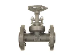 Vogt Valves AAB38VV001001 AAB38VV001001 part