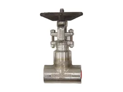 Vogt Valves AAD84VV001002 Port fnpt gate valve
