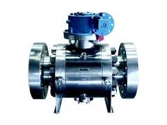 Warren Valve LP 6155 T36DHRL 2 Ball valve