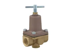 Watts 0009818 Fnpt pressure reducing valve