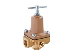 Watts 0009828 Fnpt pressure reducing valve
