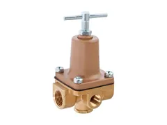 Watts 0009836 Fnpt pressure reducing valve