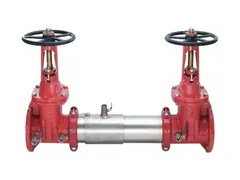 Watts 0111510 Steel flanged backflow preventer