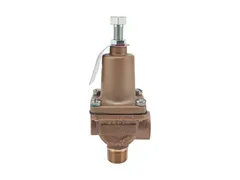 Watts 0121397 Relief valve
