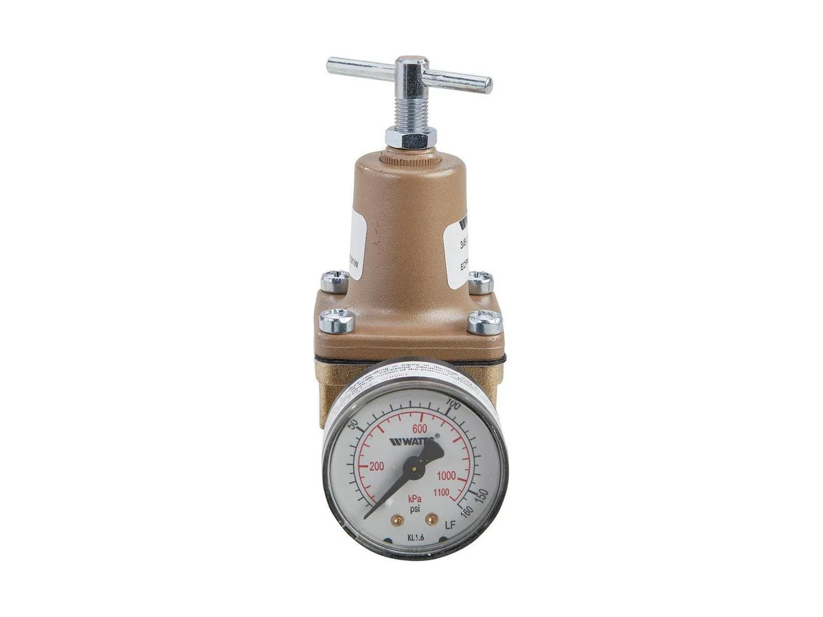 Watts 0125346 Fnpt pressure regulator valve