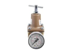 Watts 0125346 Fnpt pressure regulator valve