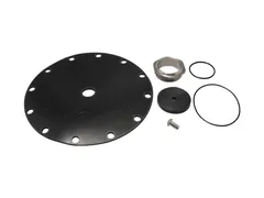 Watts 0125370 Brass valve repair kit