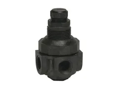 Watts 0354556 Threaded pressure reducing valve