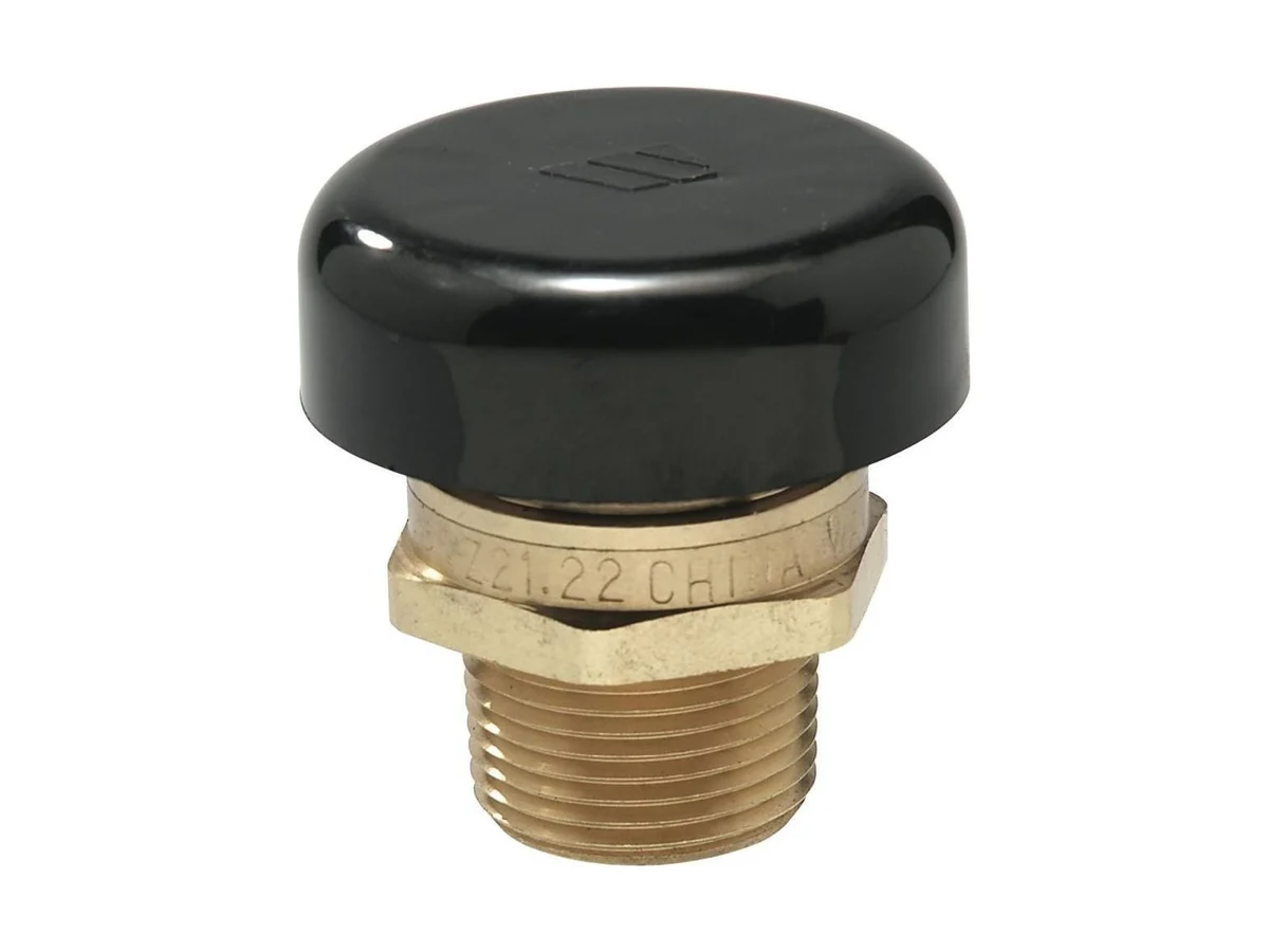 Watts 0556031 Relief valve