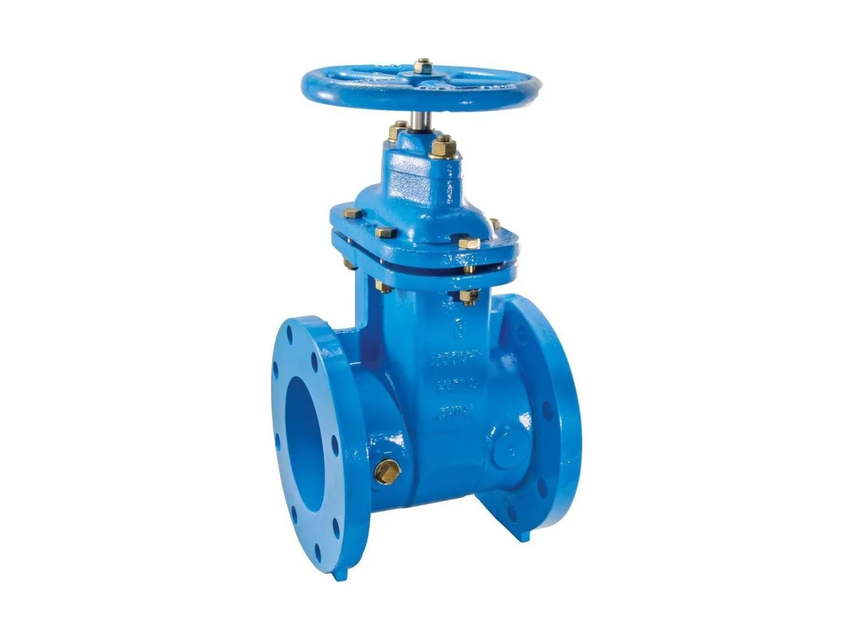 Watts 0700105 Resilient wedge gate valve