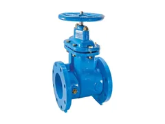 Watts 0700105 Resilient wedge gate valve